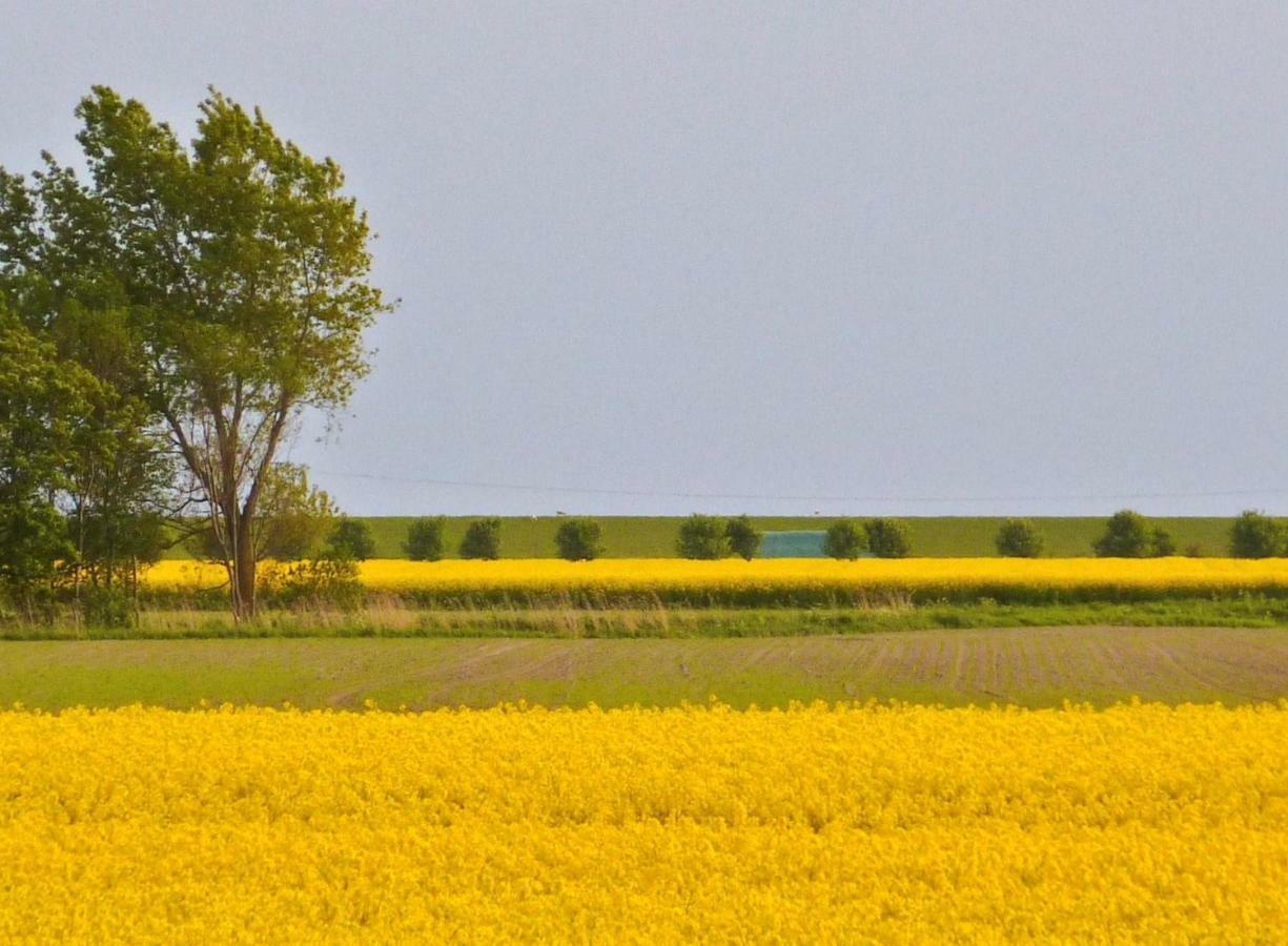Wattenblick Büsum Dış mekan fotoğraf